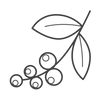 Feature icon